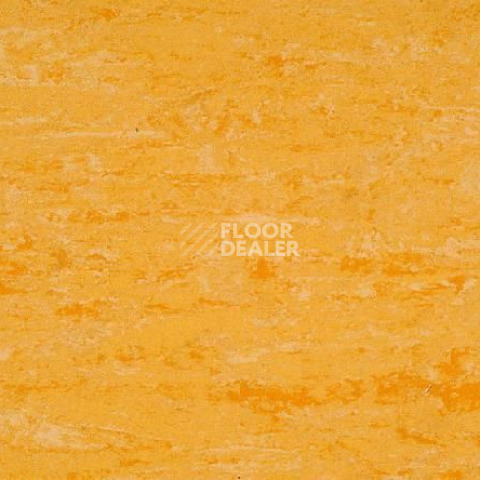 Линолеум Gerflor Linodur Sport 1074 Straw Yellow фото 1 | FLOORDEALER